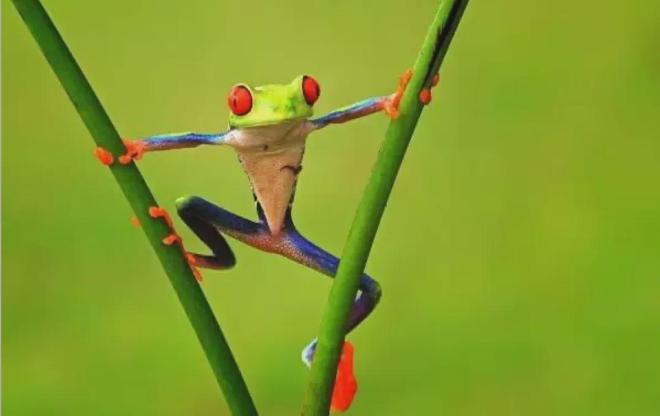 企业窘境：小米空调承诺包修10年是给自己挖坑